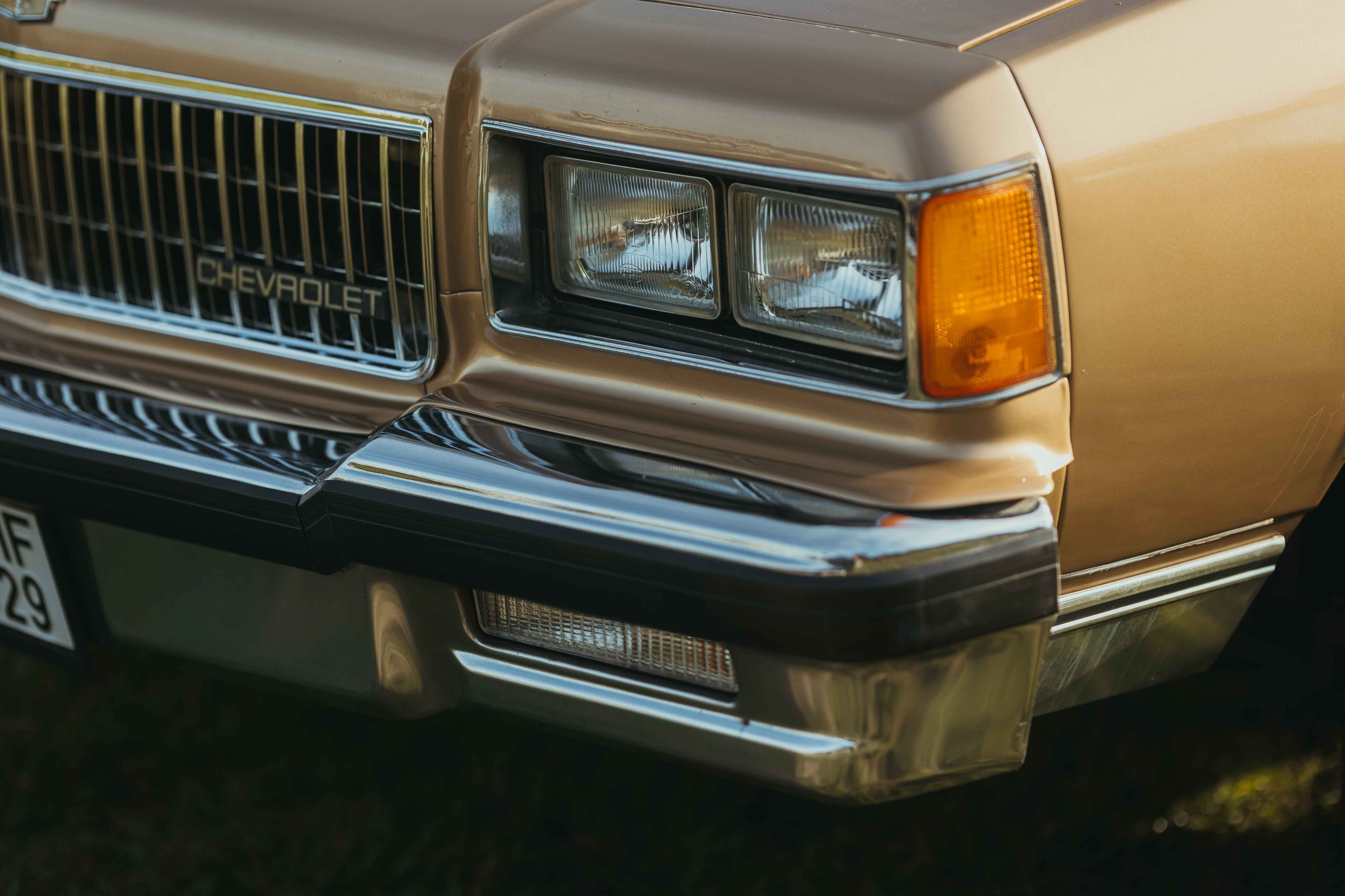 Chevrolet Caprice Classic family photography session