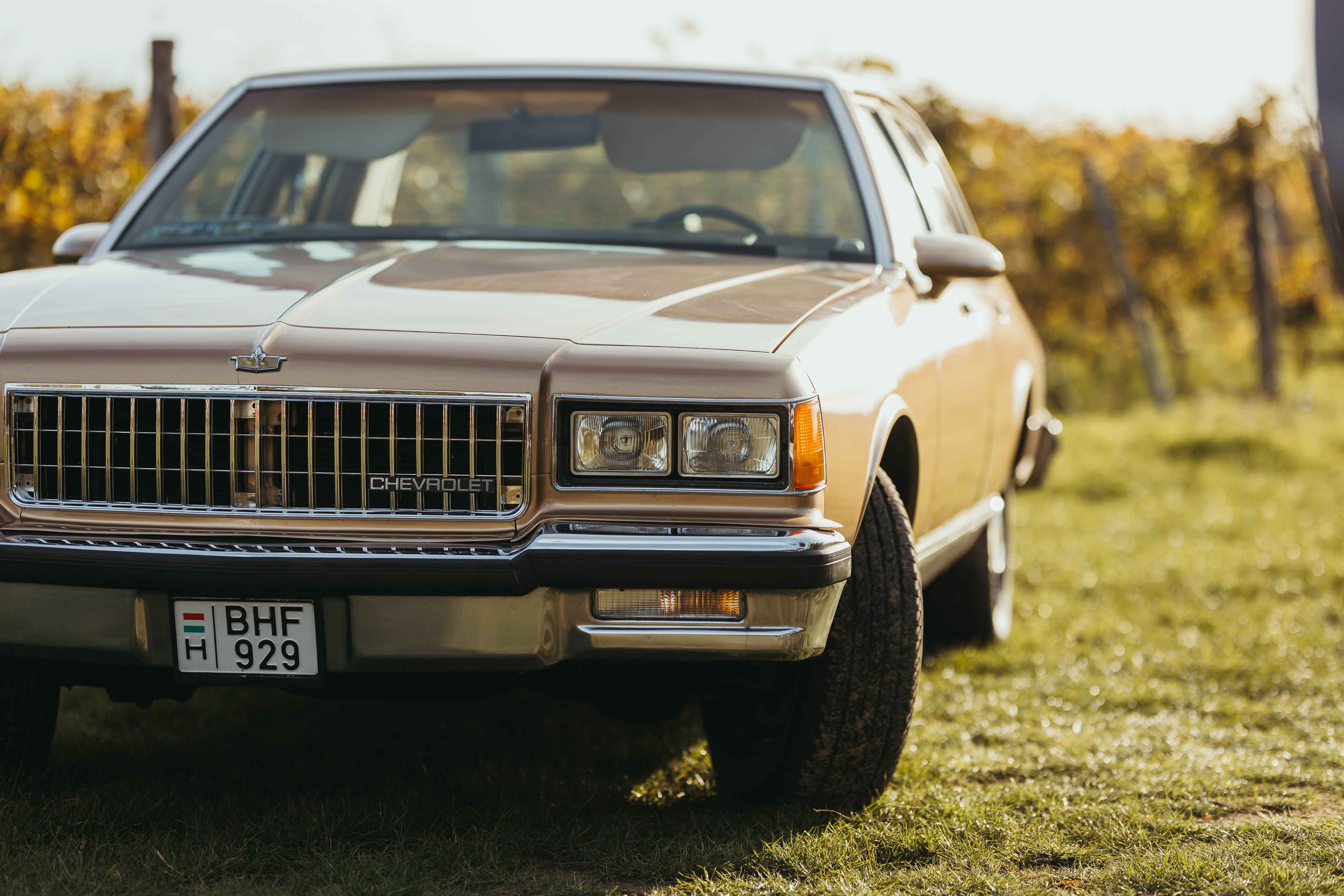 Chevy Caprice Classic family photography session